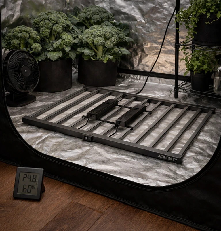 1.000W volle Leistung auf jeder Fläche