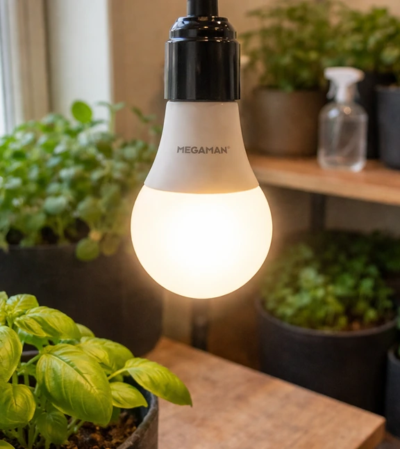 Mehr Licht. Mehr Wachstum.