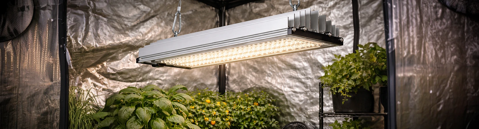 Professionelle Beleuchtung