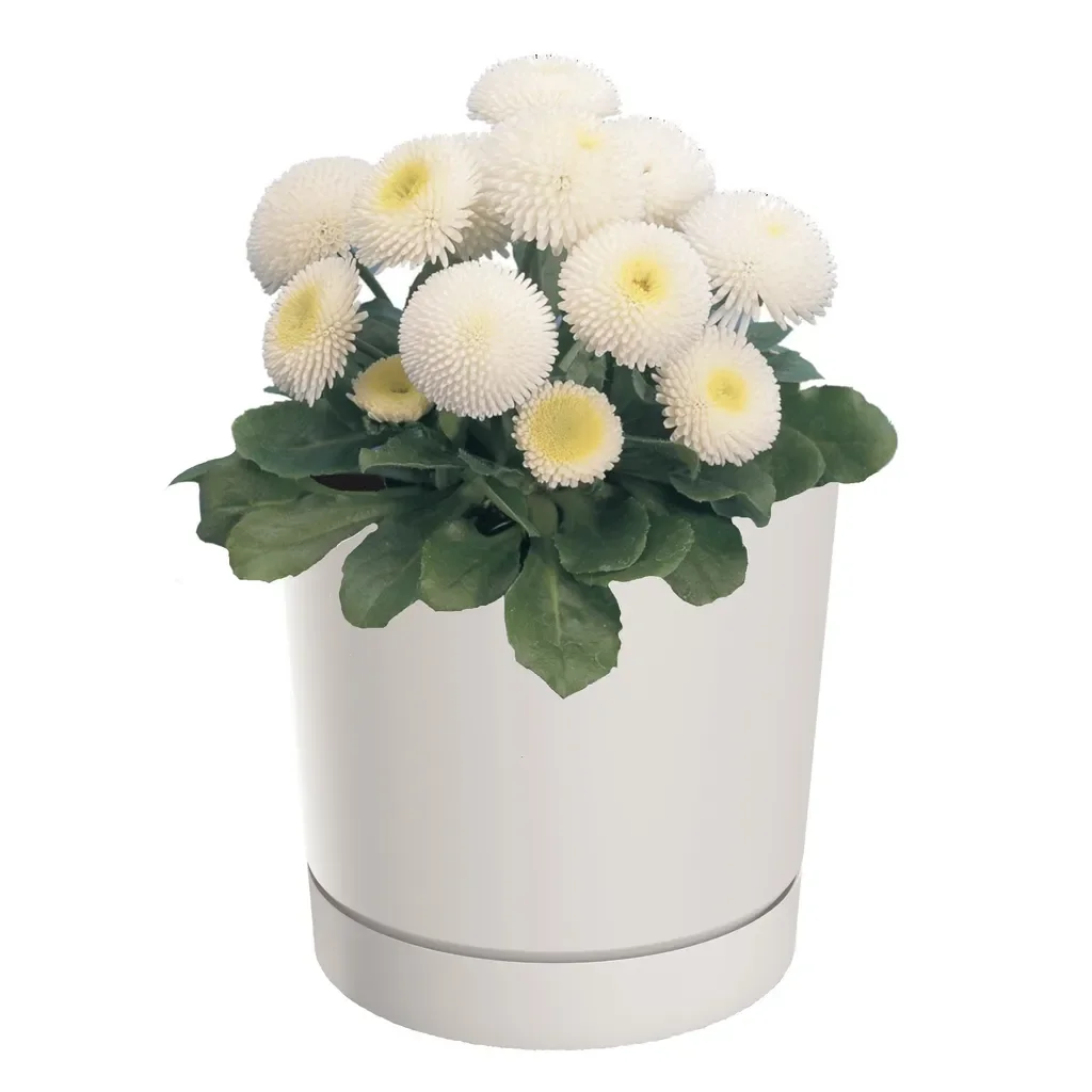 Moderner Blumentopf mit Untersetzer Ø10,8 cm – Weiß