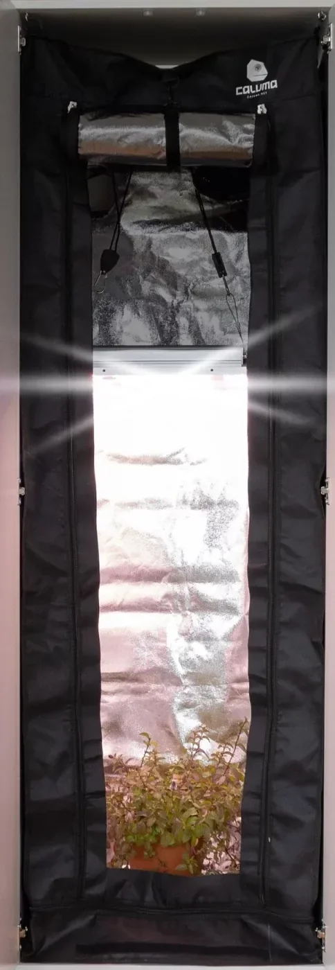 Caluma Readymade 100 Growzelt für IKEA GODISHUS Growschrank kompatibel